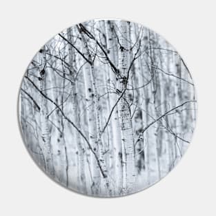 Black and White Aspen Forest Abstract Pin