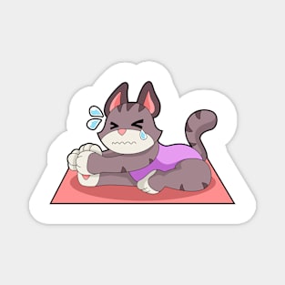 Cat at Yoga Fitness Magnet