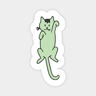 Halloween Costume Cat Frankenstein Magnet