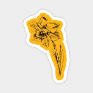 Narcissus Print Magnet