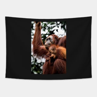 Mother & baby Orangutan, Borneo Tapestry