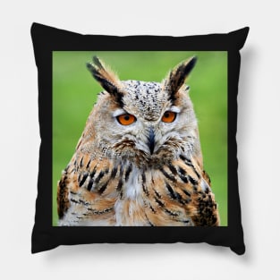 Eurasian Eagle Owl Pillow