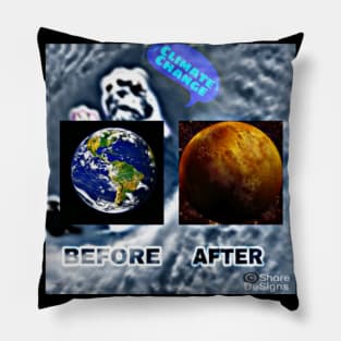 Planet Earth Before and After Pillow