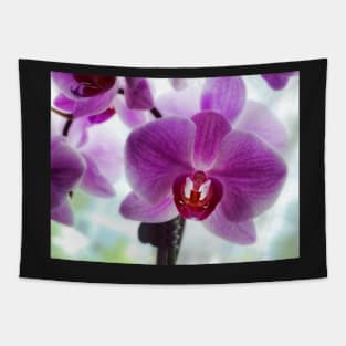 Purple Orchids Tapestry