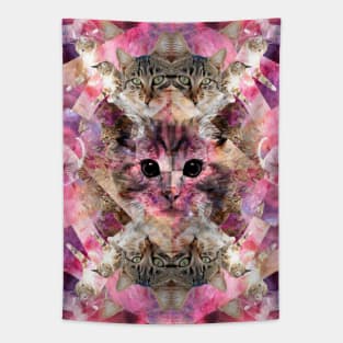 CAT COLLIDE Tapestry