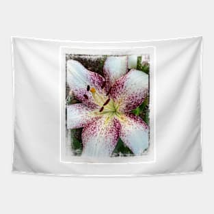 Lily In The Summer Garden - flower photography Tapestry