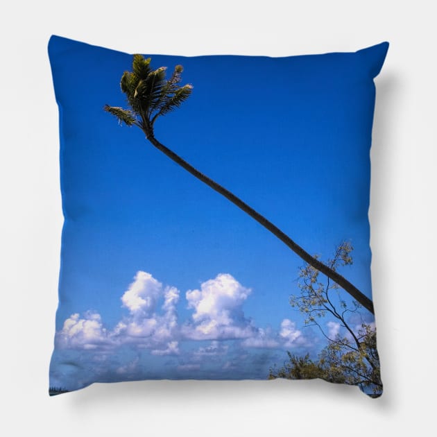 South Pacific Dreams Pillow by Memories4you