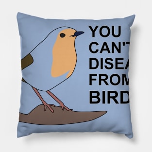 you cant get diseases from a bird Pillow