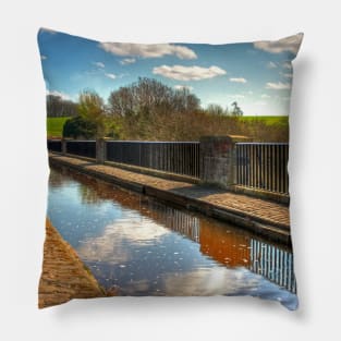 The Almond Aquaduct Pillow