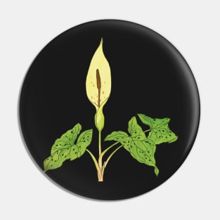 Arum maculatum - botanical illustration Pin