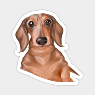 Cute Dachshund Drawing Magnet