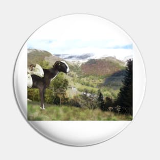 Pyrenees sheep and summer landscape Pin