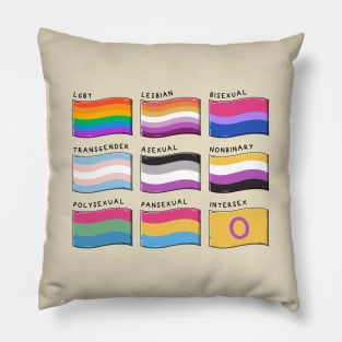 Retro LGBTQIA Pride Flags Pillow