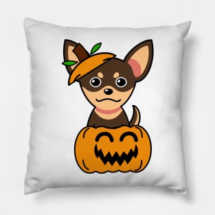 Funny small dog is in a pumpkin Pillow