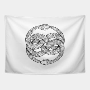 The Auryn Tapestry