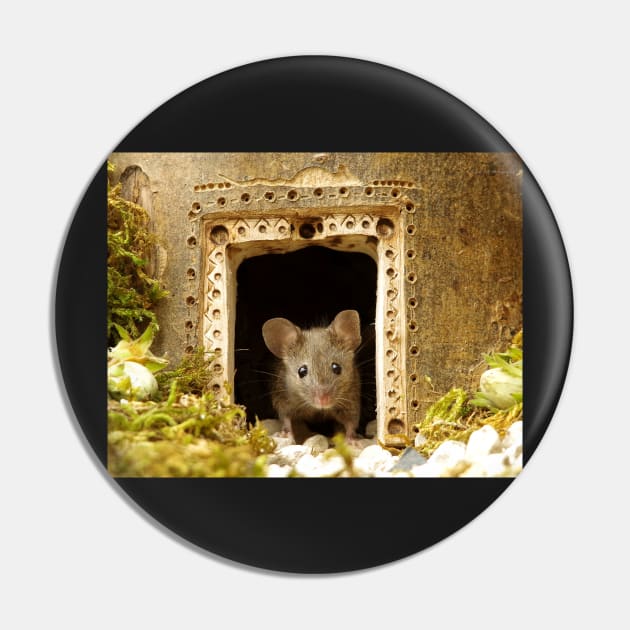 George the mouse in a log pile house Pin by Simon-dell