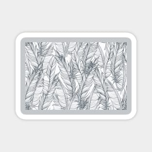 White Feather Seamless Pattern Magnet