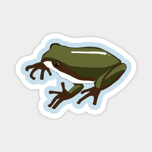 Pacific Tree Frog Magnet