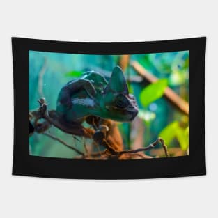 Сhameleon sitting on a tree branch Tapestry