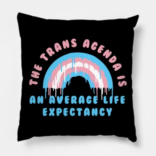 the trans agenda Pillow