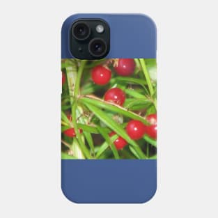 We're not rotten tomatoes Phone Case