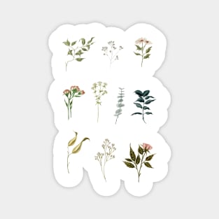 Delicate Botanical Pieces Magnet