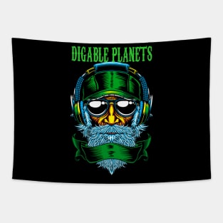 DIGABLE PLANETS RAPPER MUSIC Tapestry