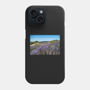 Lupine blooming on the hills Phone Case