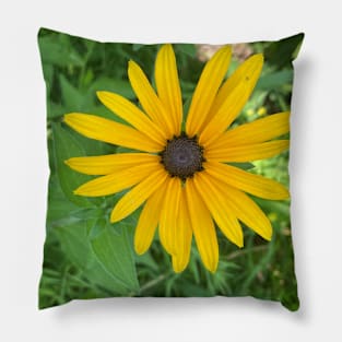 Bright Yellow Daisy Pillow