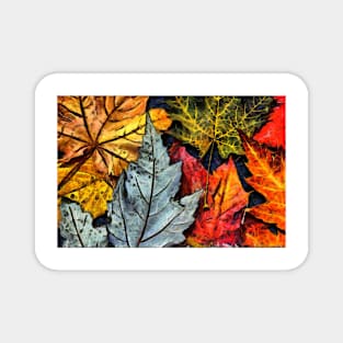 The colors of autumn II Magnet