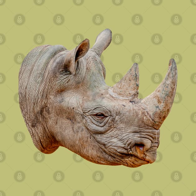 Black Rhino by dalyndigaital2@gmail.com