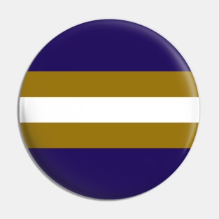 Baltimore Color Stripes Pin