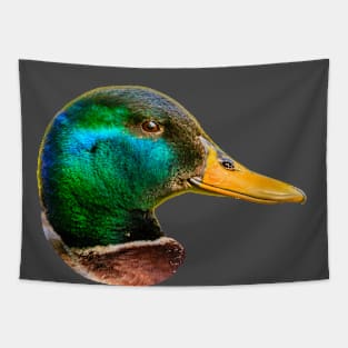 Mallard Drake Tapestry