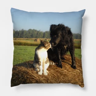 Best Buddies Dog and Cat Pillow