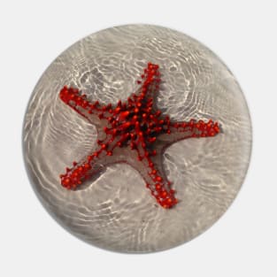 The Starfish Pin