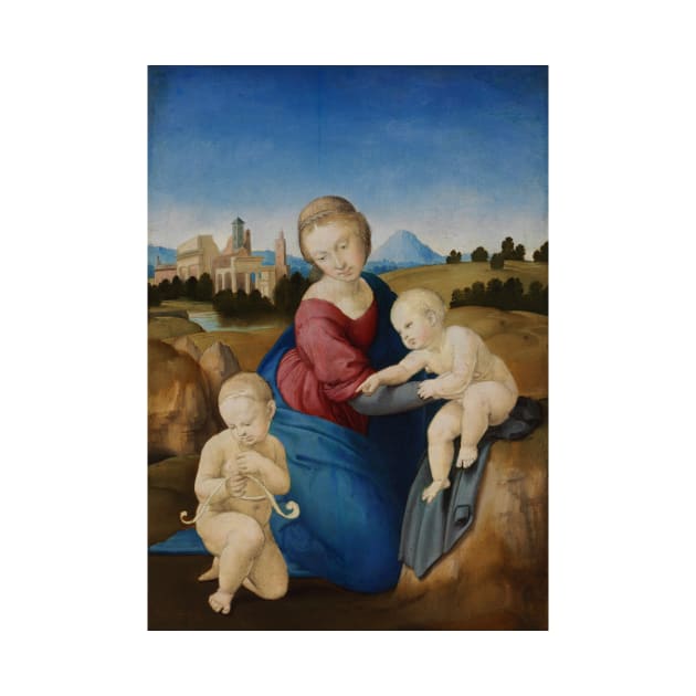 Madonna and Child with the Infant Saint John by Raphael by Classic Art Stall