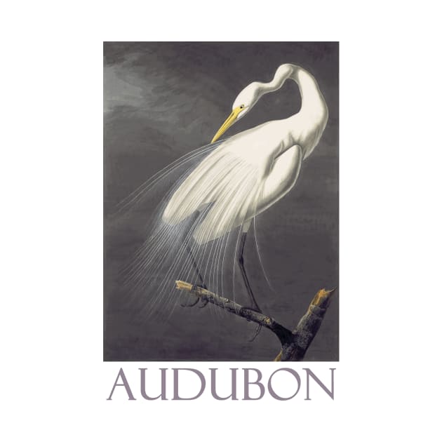 Great Egret by John James Audubon by Naves