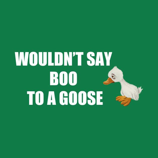 WOULDN’T SAY BOO TO A GOOSE by rachelslanguage