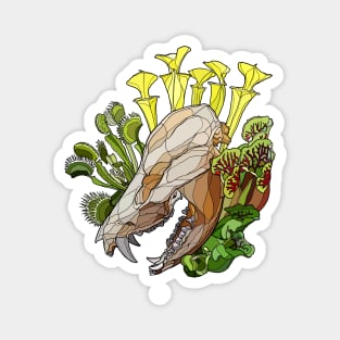 Opossum Skull With Carnivorous Plants Magnet