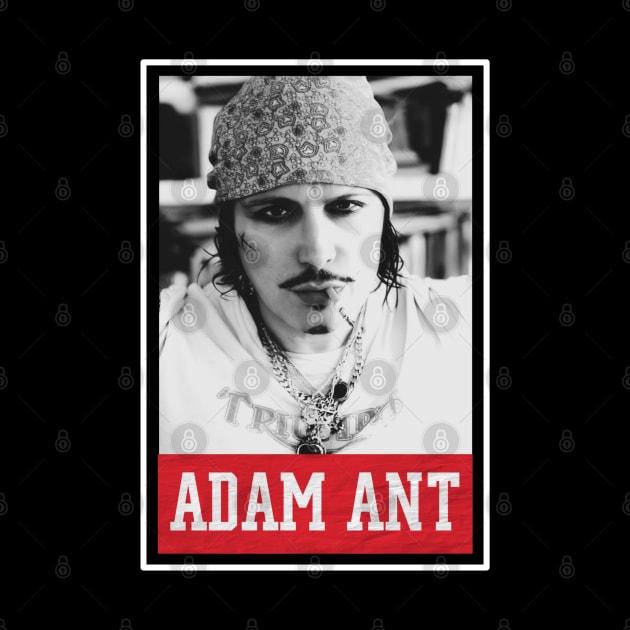 adam ant by one way imagination