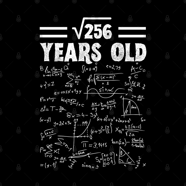 Square Root Of 256 16th Birthday, 16 Year Old Math Lover Gift by JustBeSatisfied