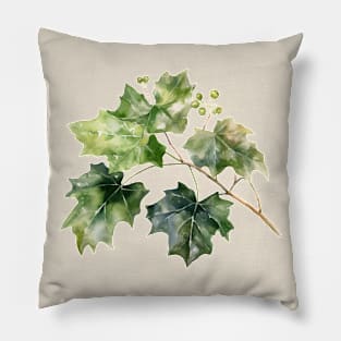 Beautiful Ivy Leaves Pillow