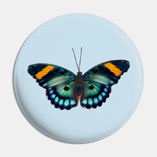 Blue and black striped Butterfly Pin