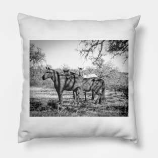 Wild Horses  - Black And White Pillow