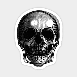 DARK SKULL Magnet