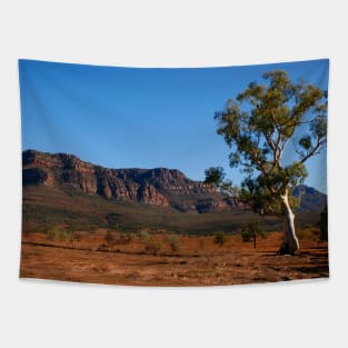 Flinders Ranges Outback Tapestry