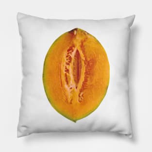 Yellow Melon Slice Pillow