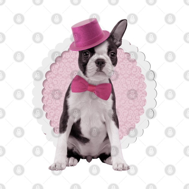 Boston Terrier dog by Nartissima