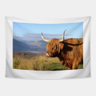 Highland Cow on the Conic Hill Loch Lomond Tapestry