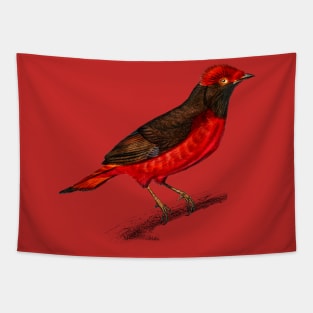 Vintage guianan red cotinga bird-animalia Tapestry